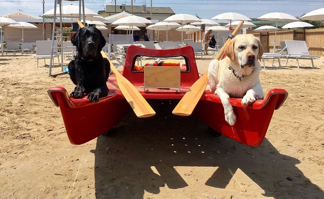 C’è la certificazione ISO UNI 14001 che rende la spiaggia cani liberi adeguata alla norma europea